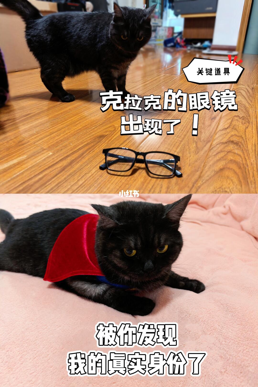 超猫会梦见橡皮鸭卢瑟吗？