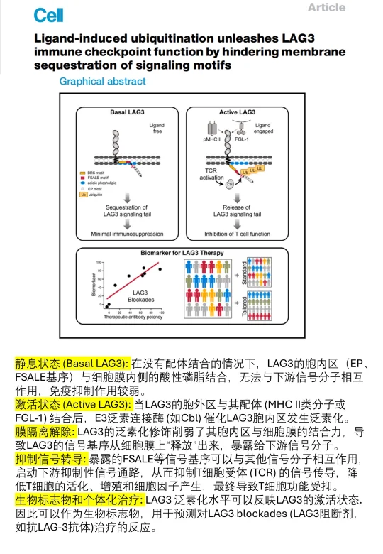 论文不基础，图文摘要更不能基础❗