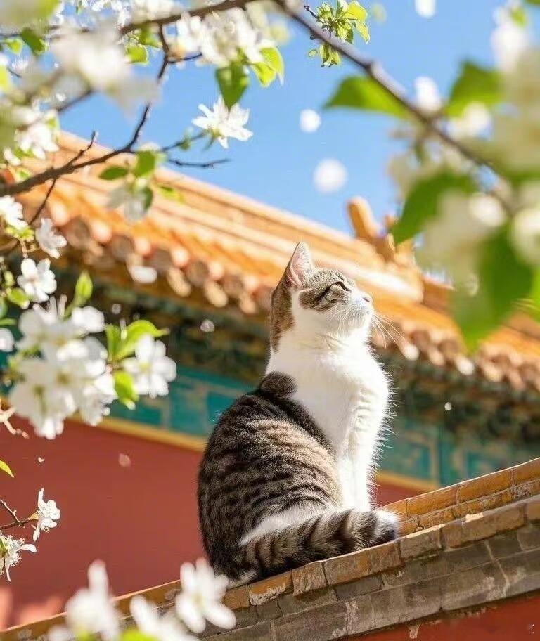 身上有静气的人，你留心去观察，在任何事情上，带着静气，内心稳定的人，面相上总是会