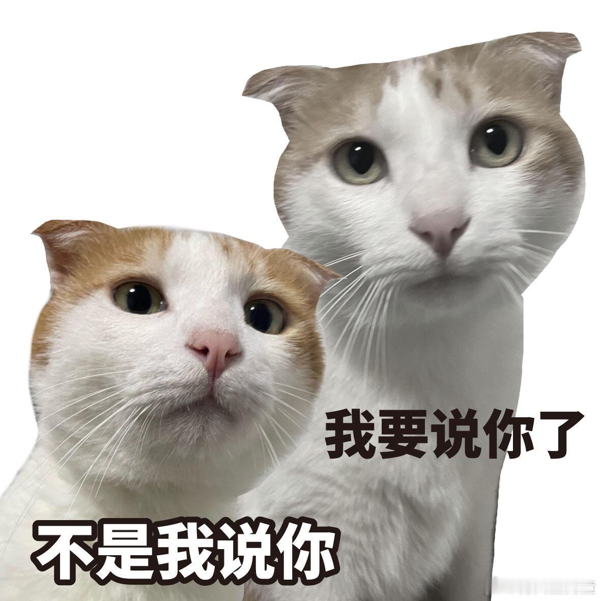 语言的艺术我大学特学 再也不怕被问住哑口无言，认真学语言艺术，巧妙回应各种问题，