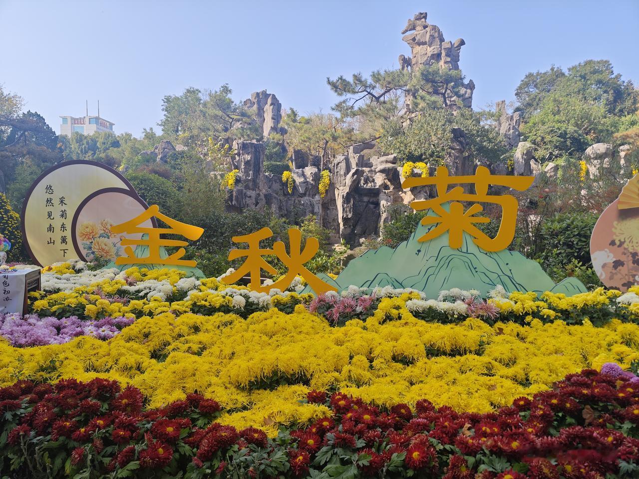 晒图笔记大赛郑州人民公园的菊花展