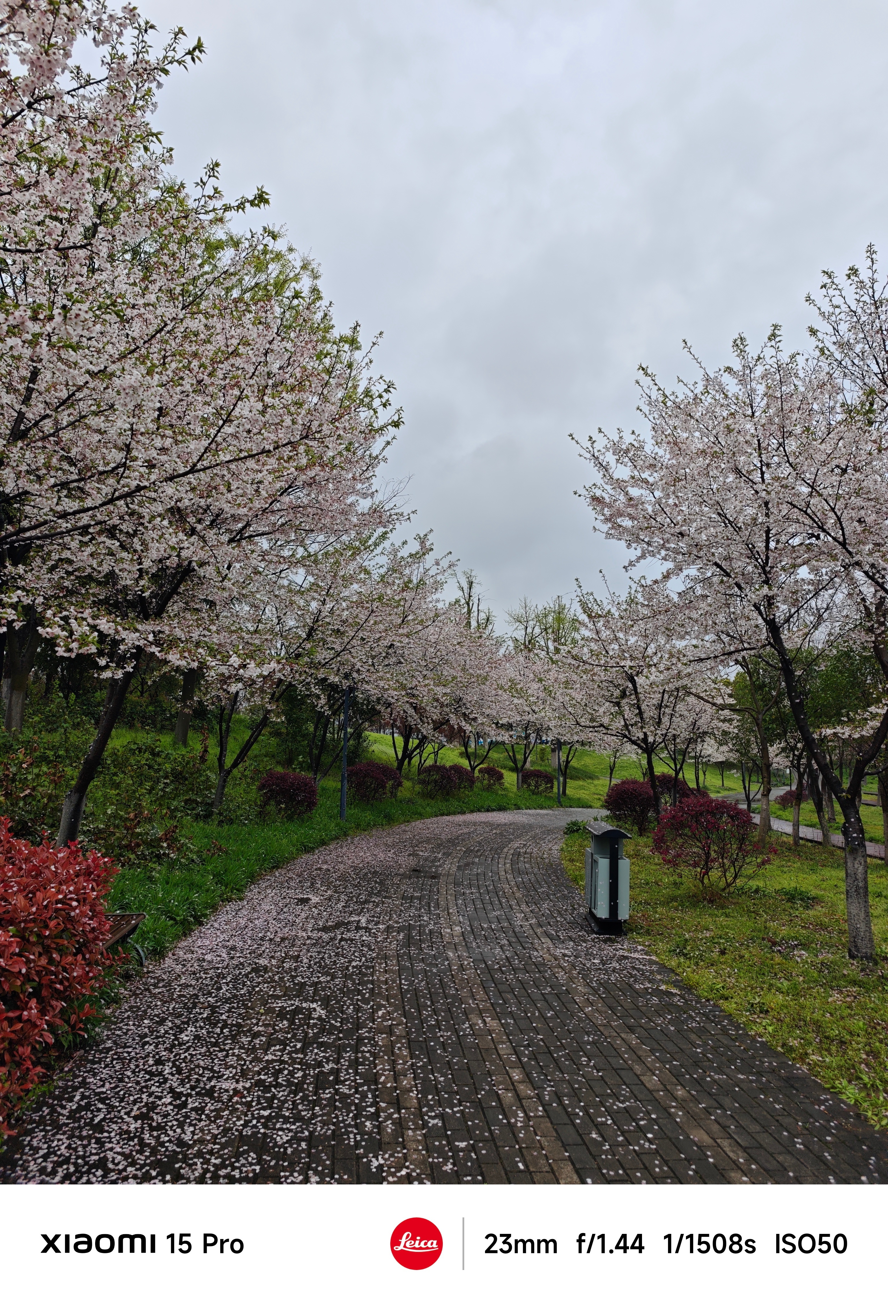 vivo发布了一款民用哈勃其实很多时候，用手机拍照，主要优势就是在于随手就能拍！
