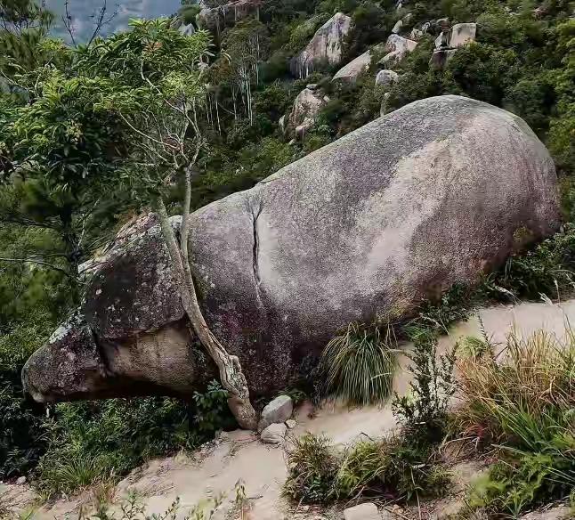 大自然的杰作

无聊翻手机，看到一位条友发的文章，说是在福建霞浦县后岐村有一处石