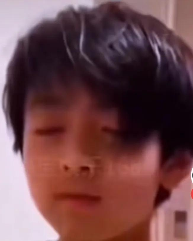 孩子的心思：谁也替代不了妈妈
 
万万没想到，张柏芝的大儿子谢振轩，压根不搭理王