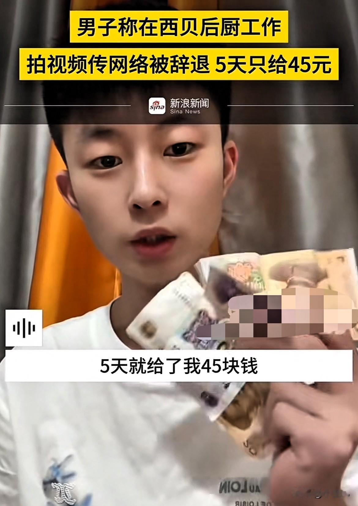 太可惜了！男孩在西贝后厨工作，只因在工作中拍了一个视频发到网上，结果被开除，声称