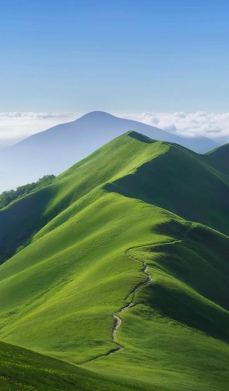 最近被这张草原壁纸刷屏，柔和的绿意和开阔的山景，看着就解压。设置成手机壁纸，每次