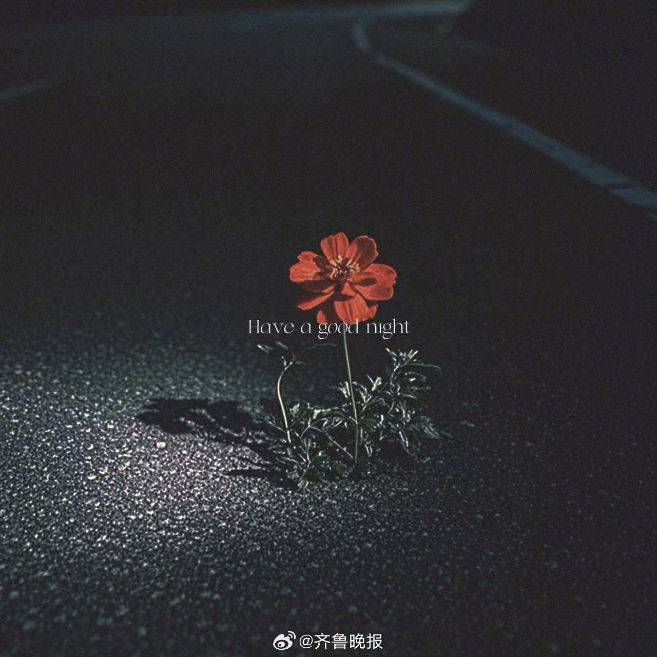 只要你下定决心走下去每一天都是新的开始[月亮]#晚安# ​​​