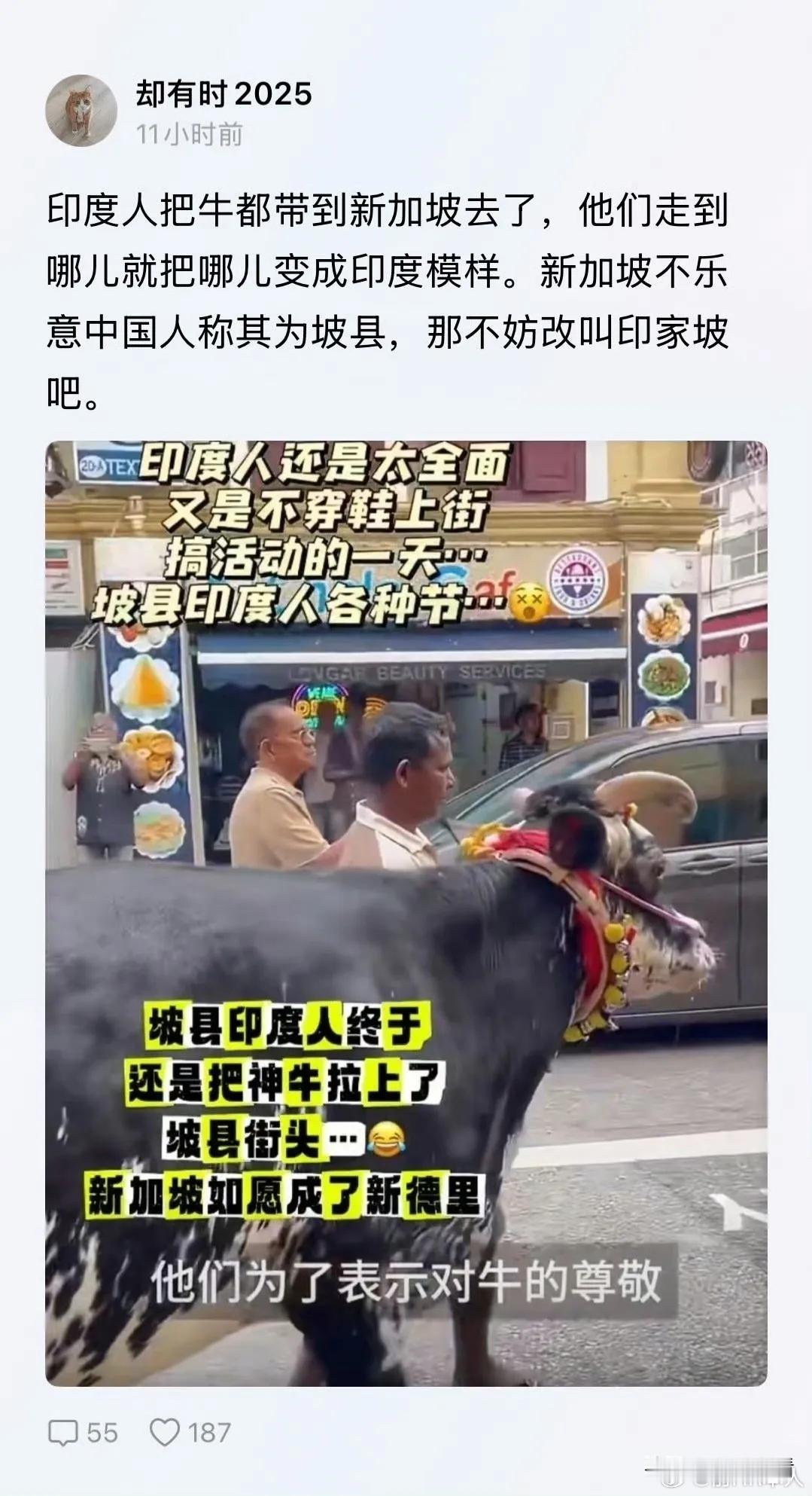 新加坡变成三哥坡了？还是正在变成的路上。“新加坡人口75％是华人，印度裔是占7%