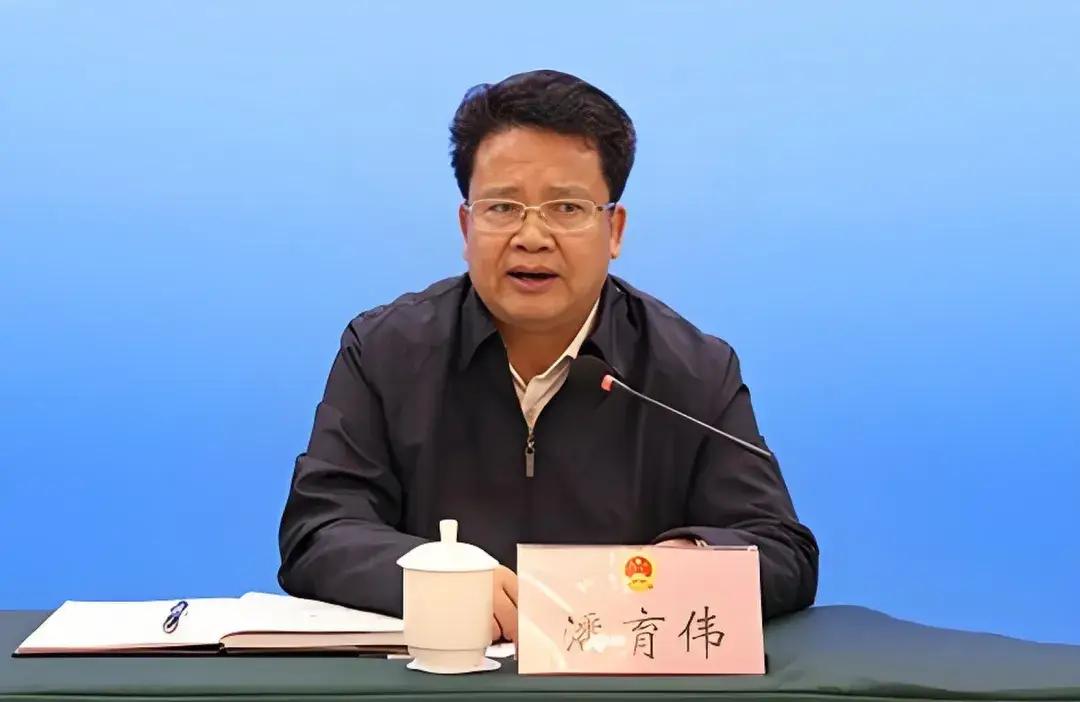 在被查5个月之后，潘育伟的违法违纪问题也得以披露，其中提及他“靠矿吃矿，在环评审