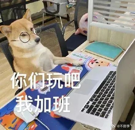 逐玉验证了有点声量的艺人加适合题材加大营销加平台全力托举，后续播放量先放一边，起