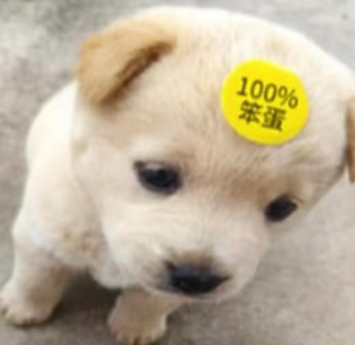 嗯 