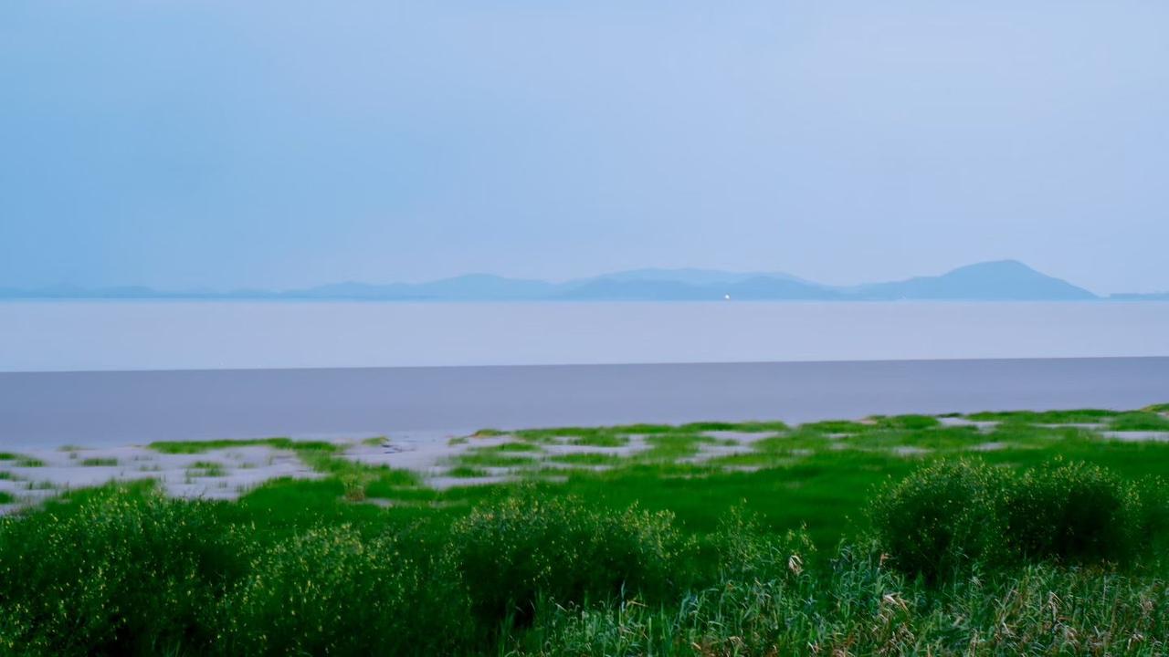 青草漫铺在湖岸，细碎小花隐在蓬勃绿意之间。宽阔水面向远方静静延伸，淡淡的薄雾笼罩