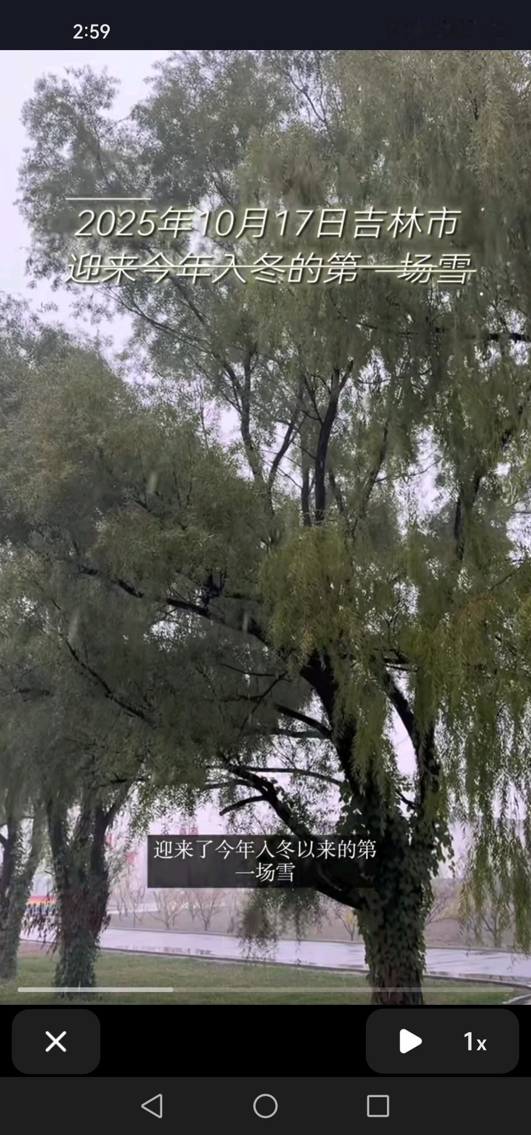 坐标吉林市。10月17号下午1时，吉林市迎来了今冬第一场雪，正式开启了入冬模式。