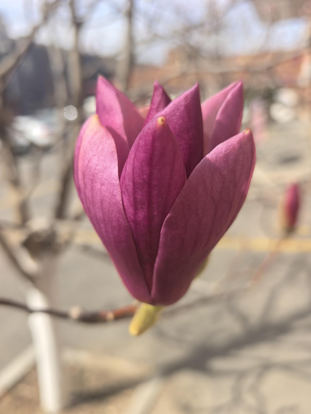 “生活大半的意义在于寻找和发现生活的乐处，不用急着追赶，时间会毫无保留地把未来给