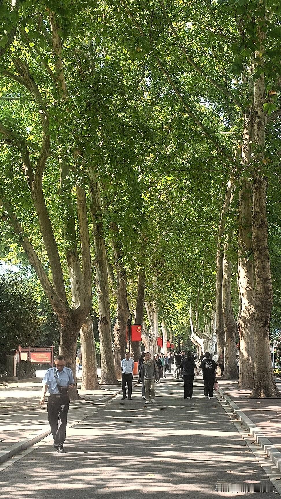 26年国庆长假最强反差。景区爆量，公园冷清，果然熟悉的地方没有风景。