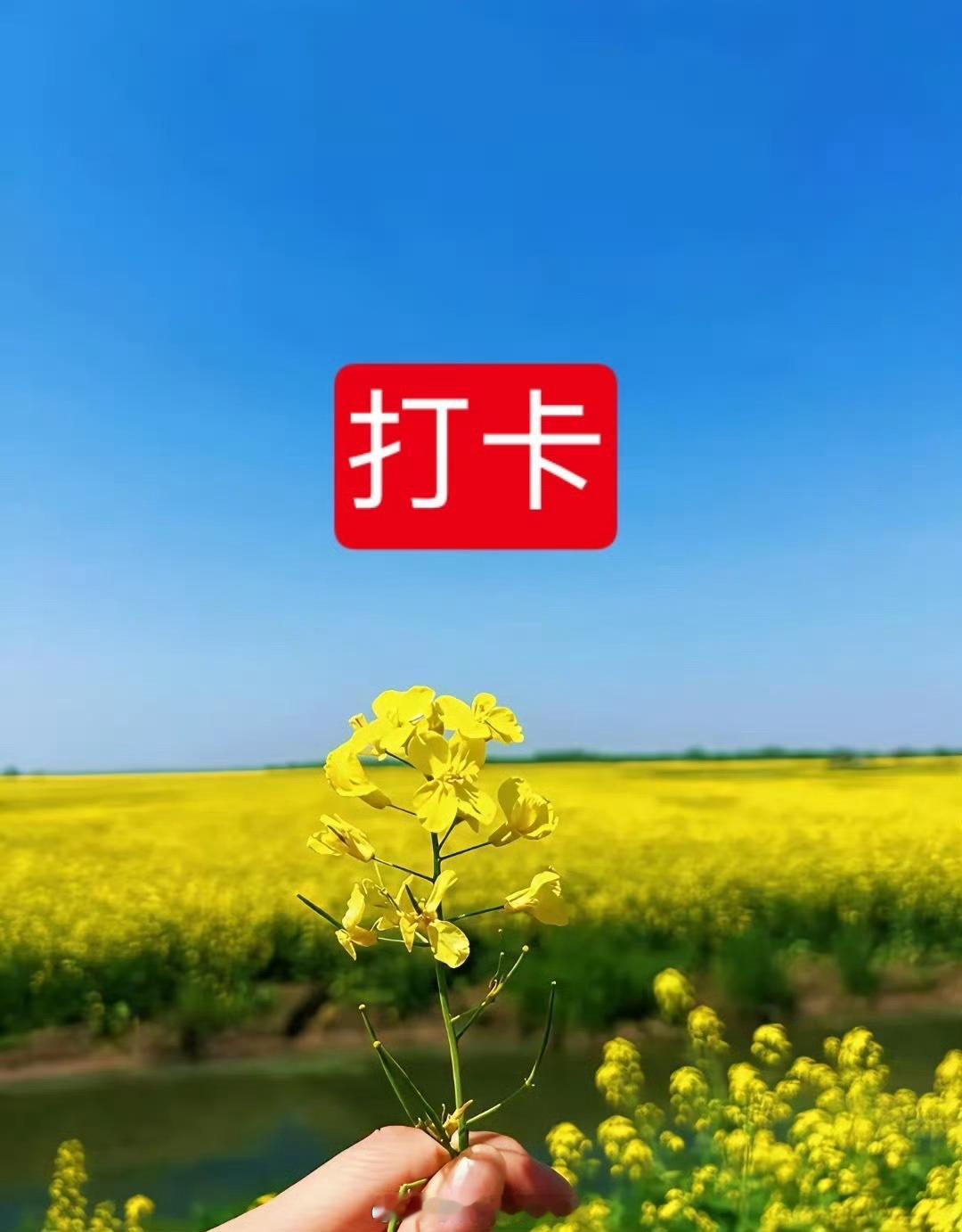 早上好呀家人们！在线家人，赶紧出来冒个泡打卡啦，大伙一起加油打气助威！点赞评论8