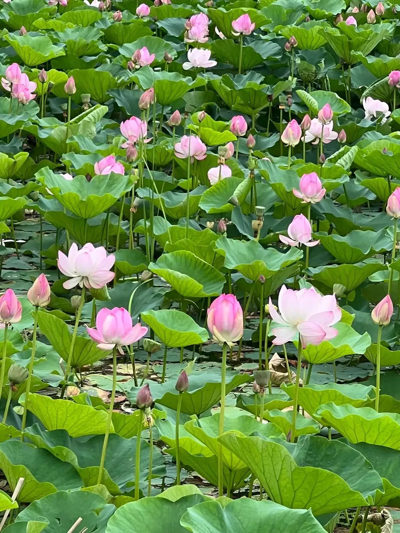 深话浅说·长路慢走。