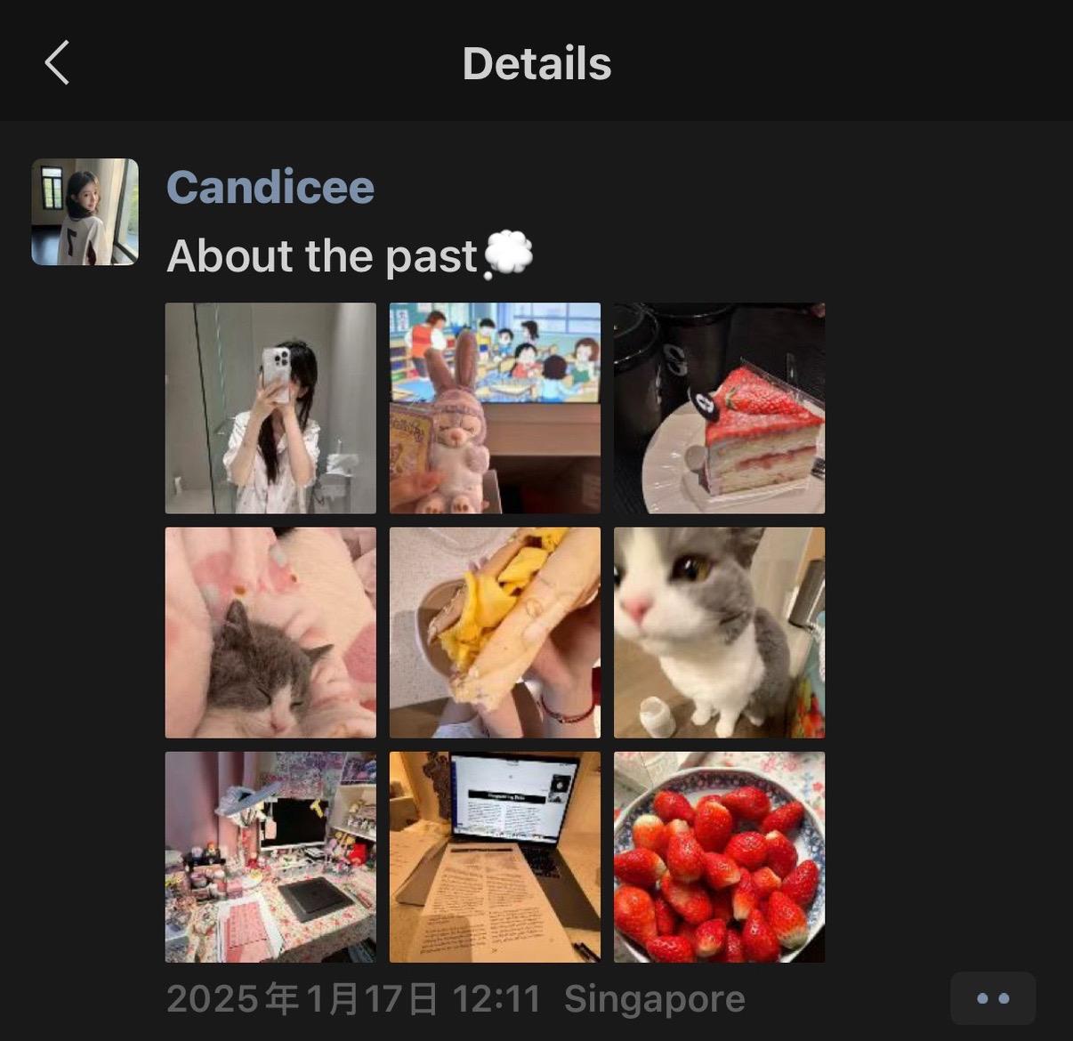 用朋友圈的方式总结2025。真的很爱记录日常哈哈哈