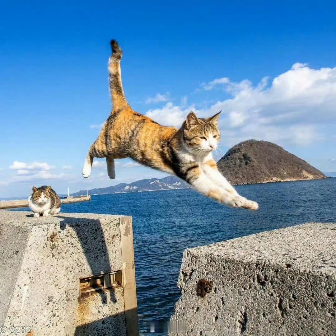 你想要的，正在向你走来 