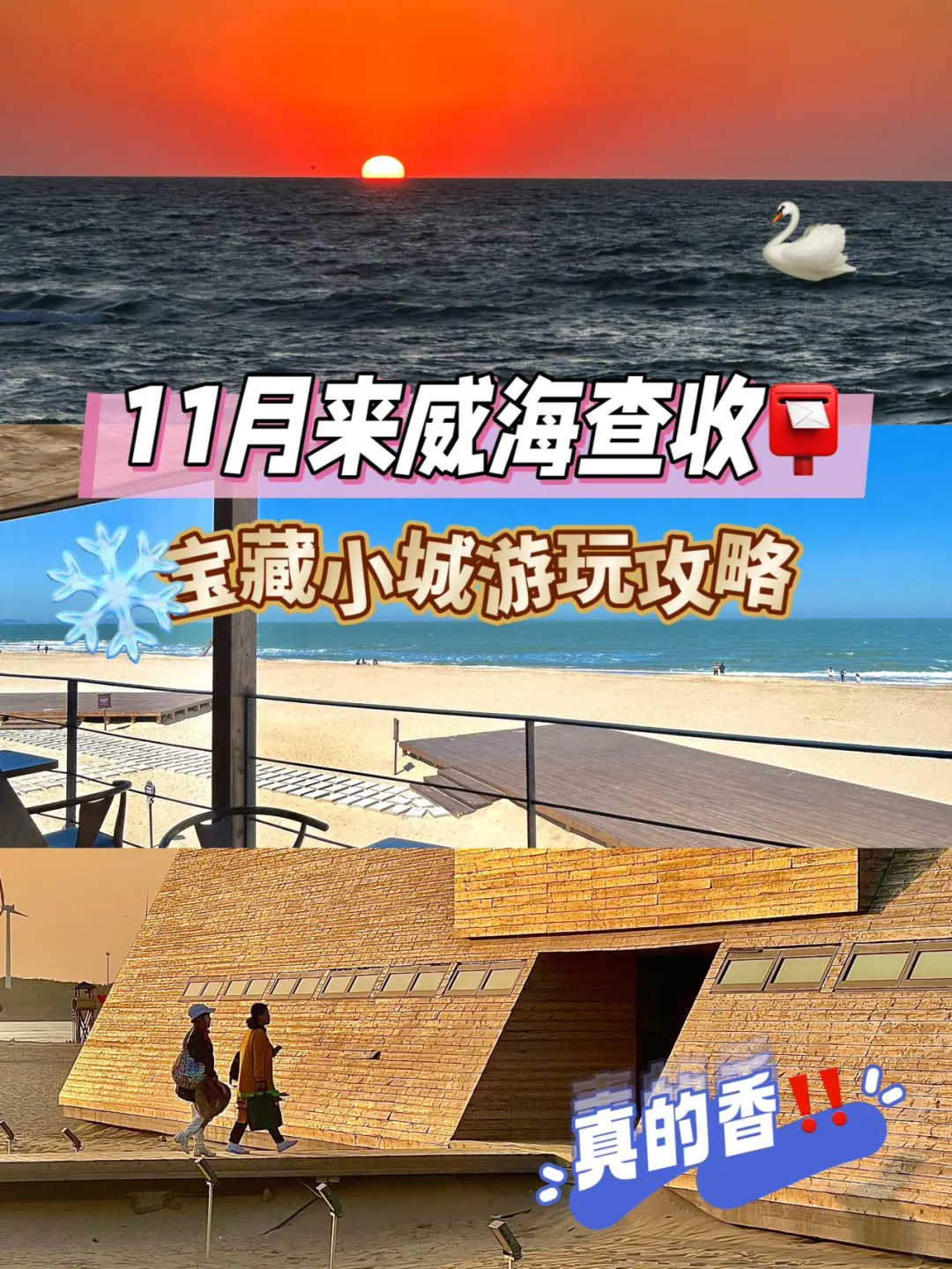 11月去威海的查收📮这份攻略真的全🌟