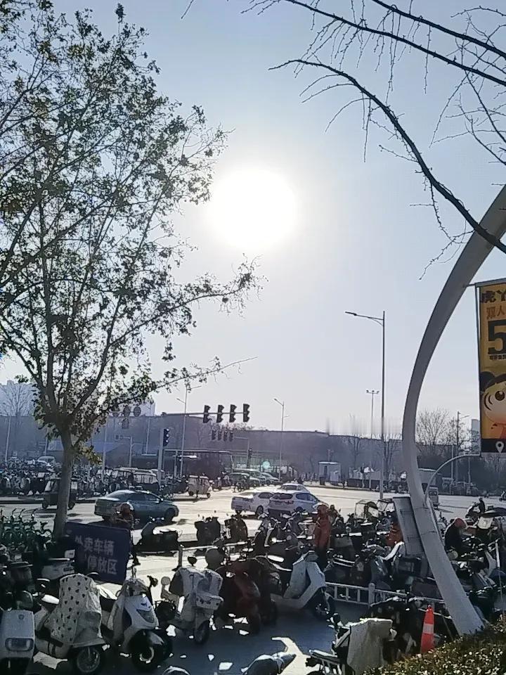 今天是下雪前，最暖和的一天了