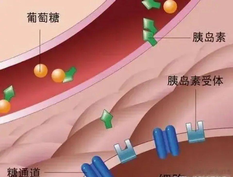 这 5 种主食正在偷偷升高你的血糖，你可能还不知道！1、白米饭：白米饭的GI值（