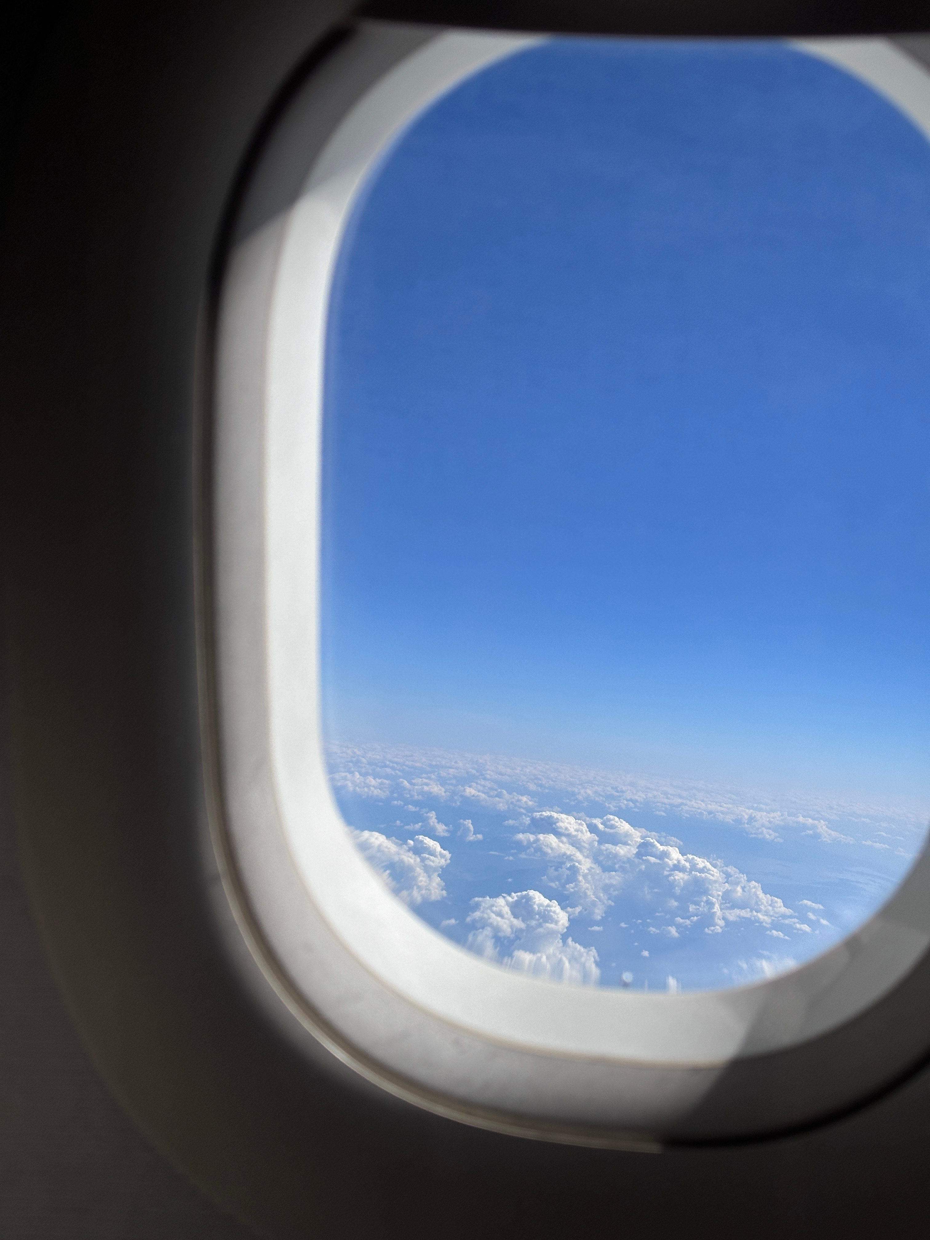 好消息：今天只被咬了一个包坏消息：咬脸上了 ​​​