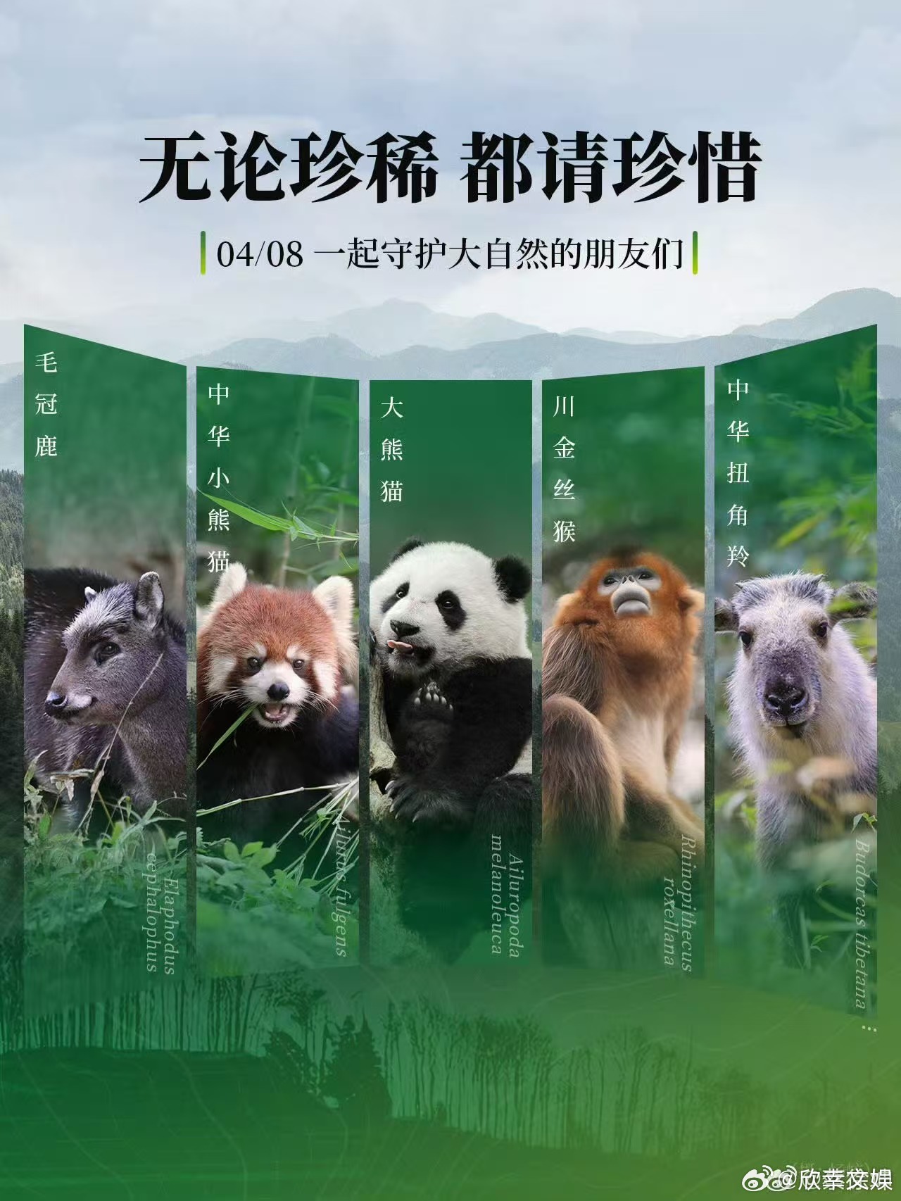 蔡徐坤都请珍惜蔡徐坤无论珍稀蔡徐坤无论珍稀，都请珍惜，