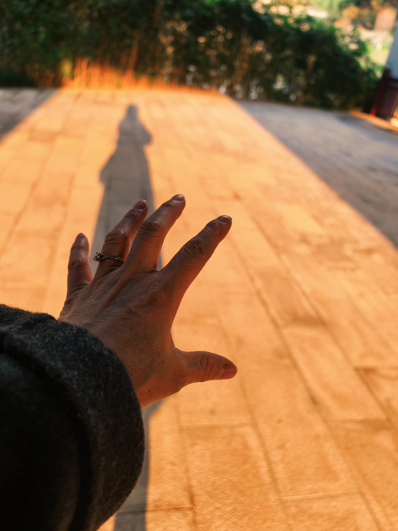 我发现自己有一点不对劲了。

前一段时间，女儿送朋友的帽子装在纸箱里，被我丢在垃