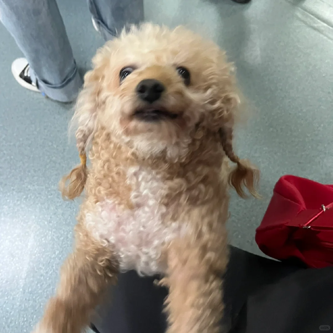 （134）好久不见好久不见