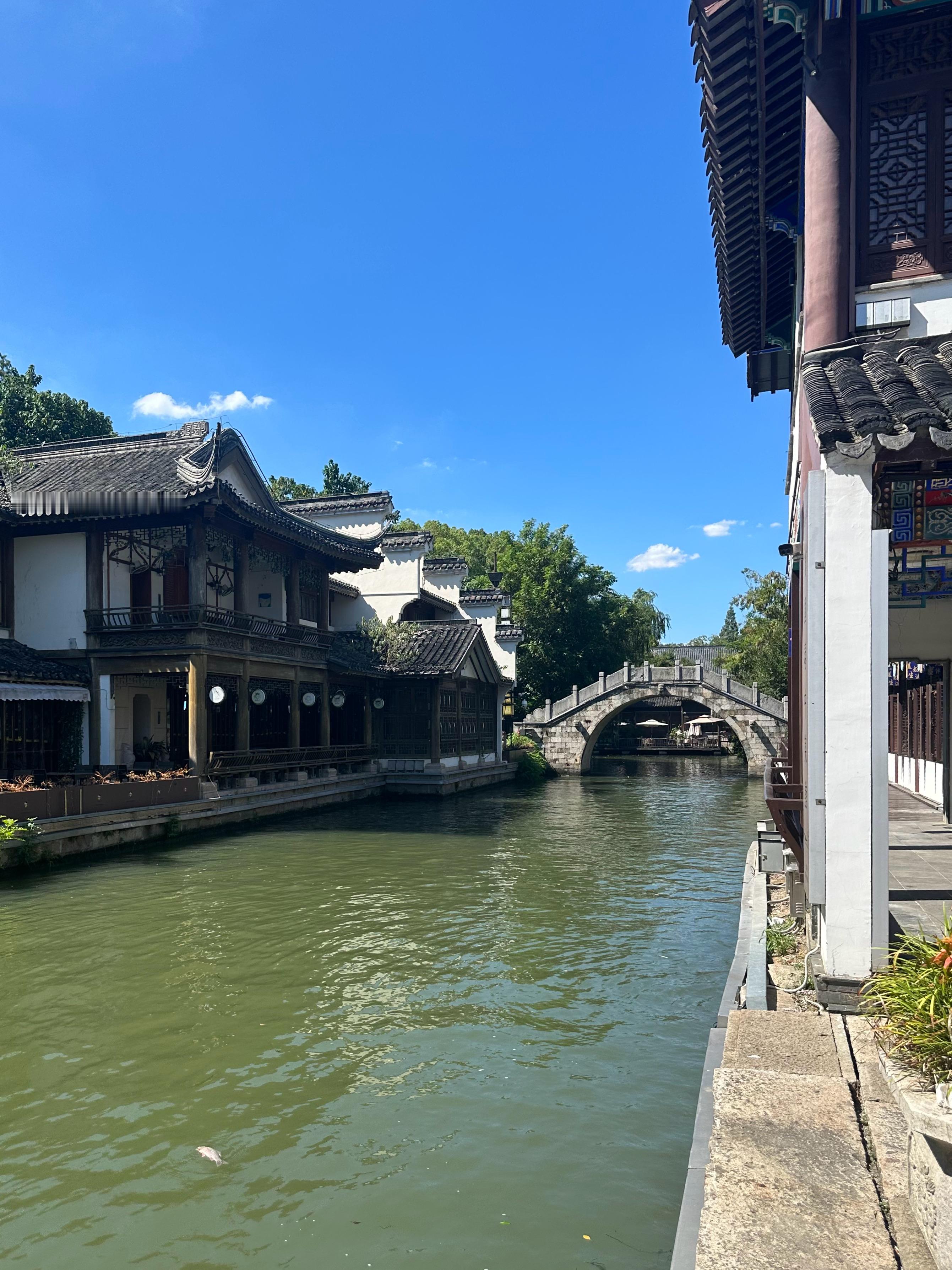 🐟都热死在河面了  ​​​