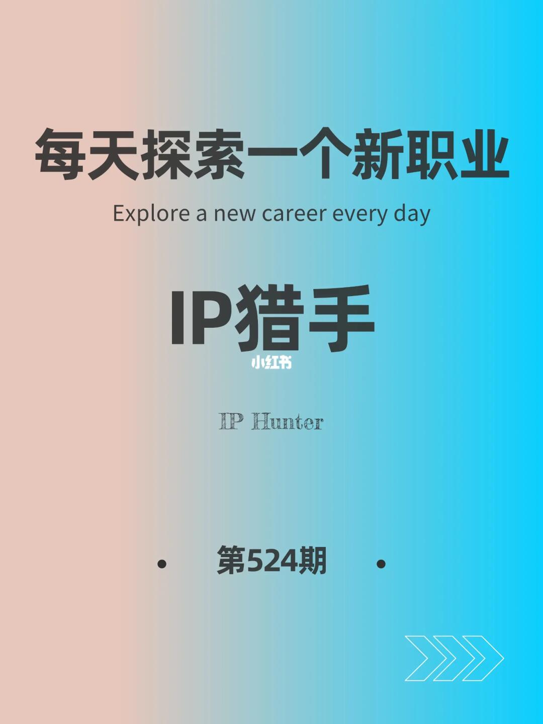 🌍每天探索一个新职业-【IP猎手】