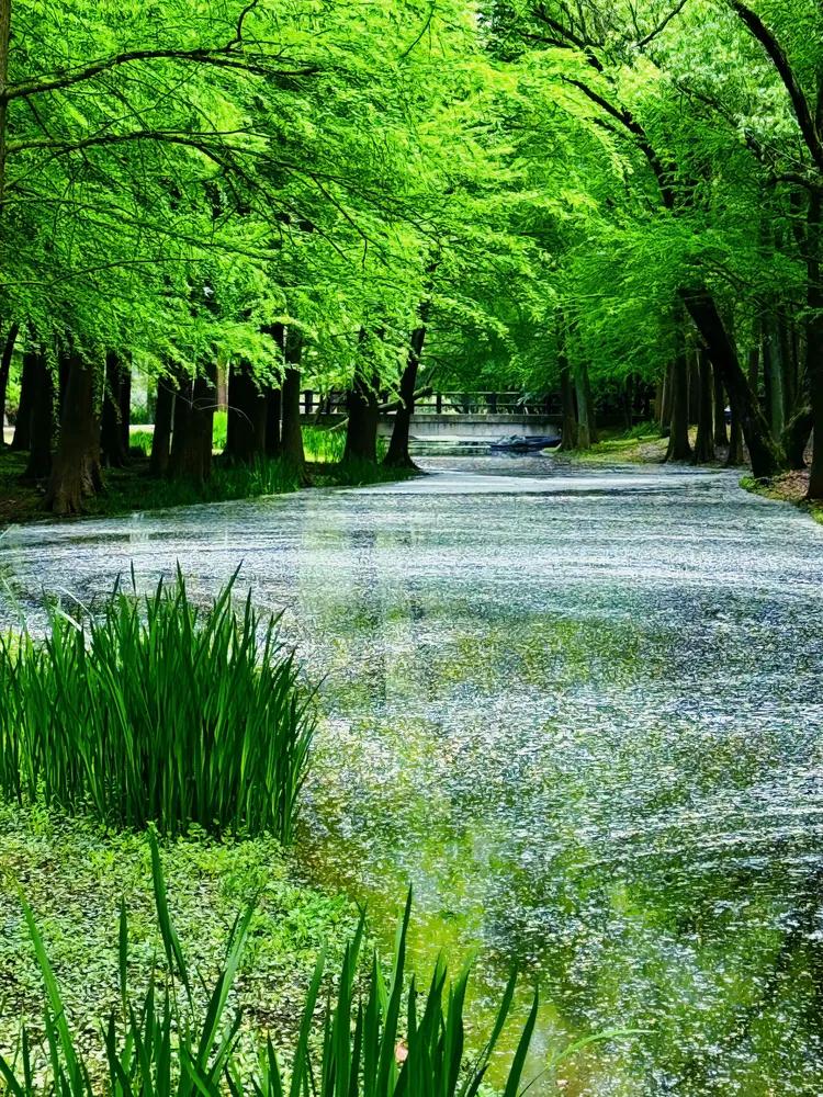 下联：雨润红花遍地锦

赏析：此联以“雨”对“风”，“润”对“拂”，皆取自然之态