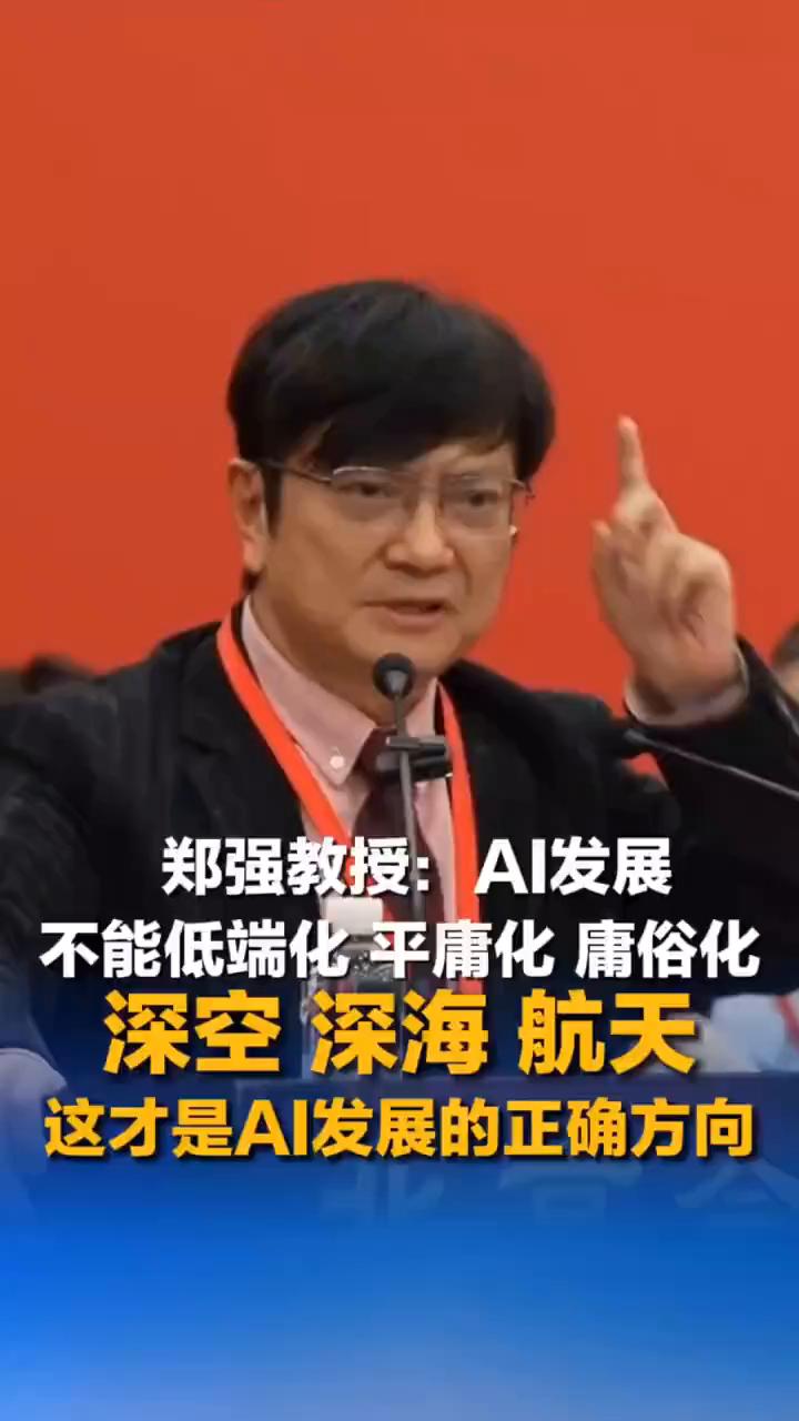 郑强教授：Al发展不能低端化、平庸化、庸俗化。
中新网。
在近日举行的第十七届中