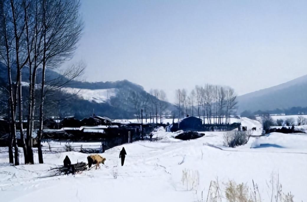 东北的冬天有多冷？现在的年轻人可能没概念，毕竟暖气、空调、热水器样样都有。
但在