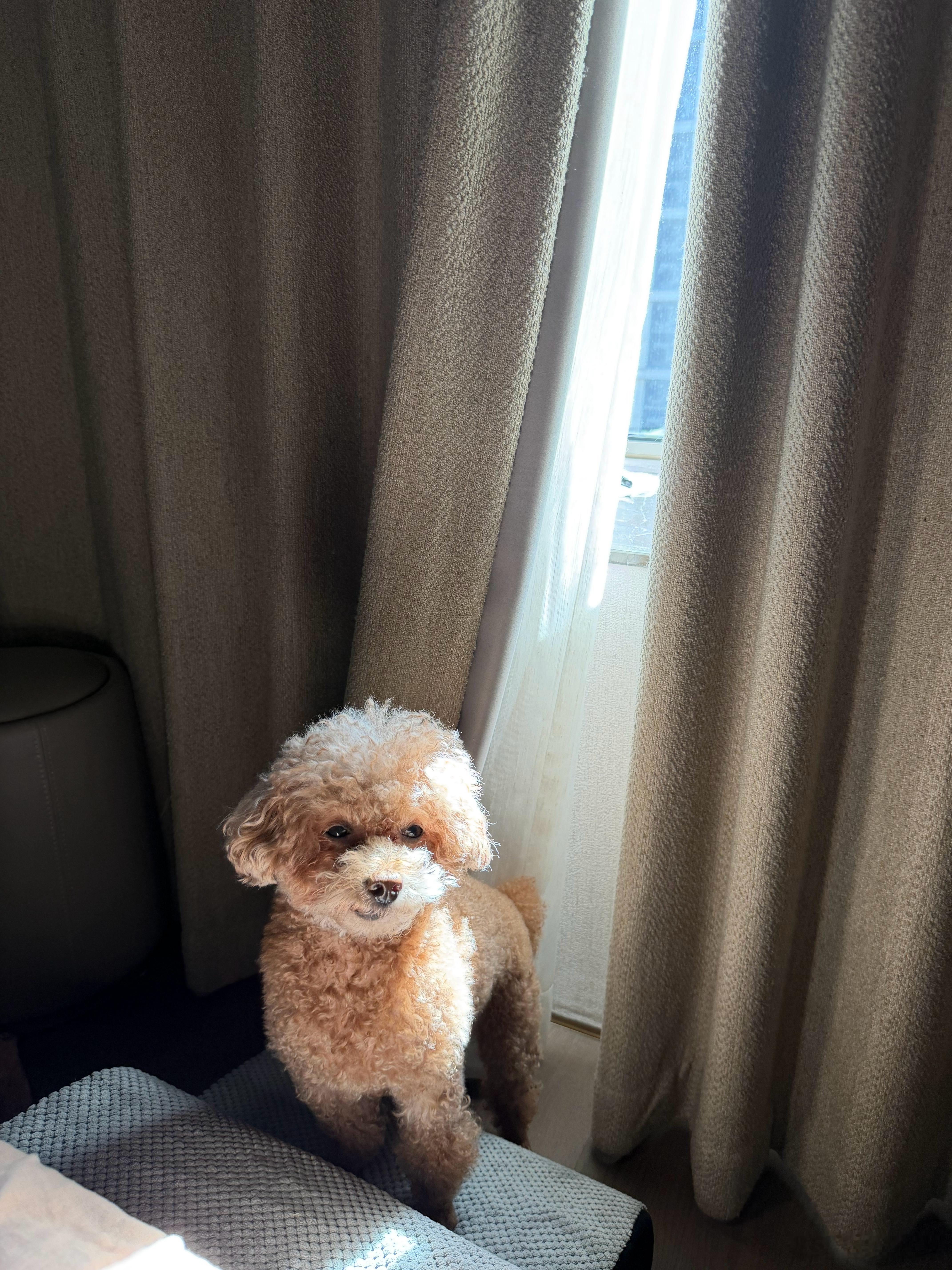 10月最后一天北京这周几乎都是阴天雾霾到周五终于放晴了一大早逆子就告诉了我这个好