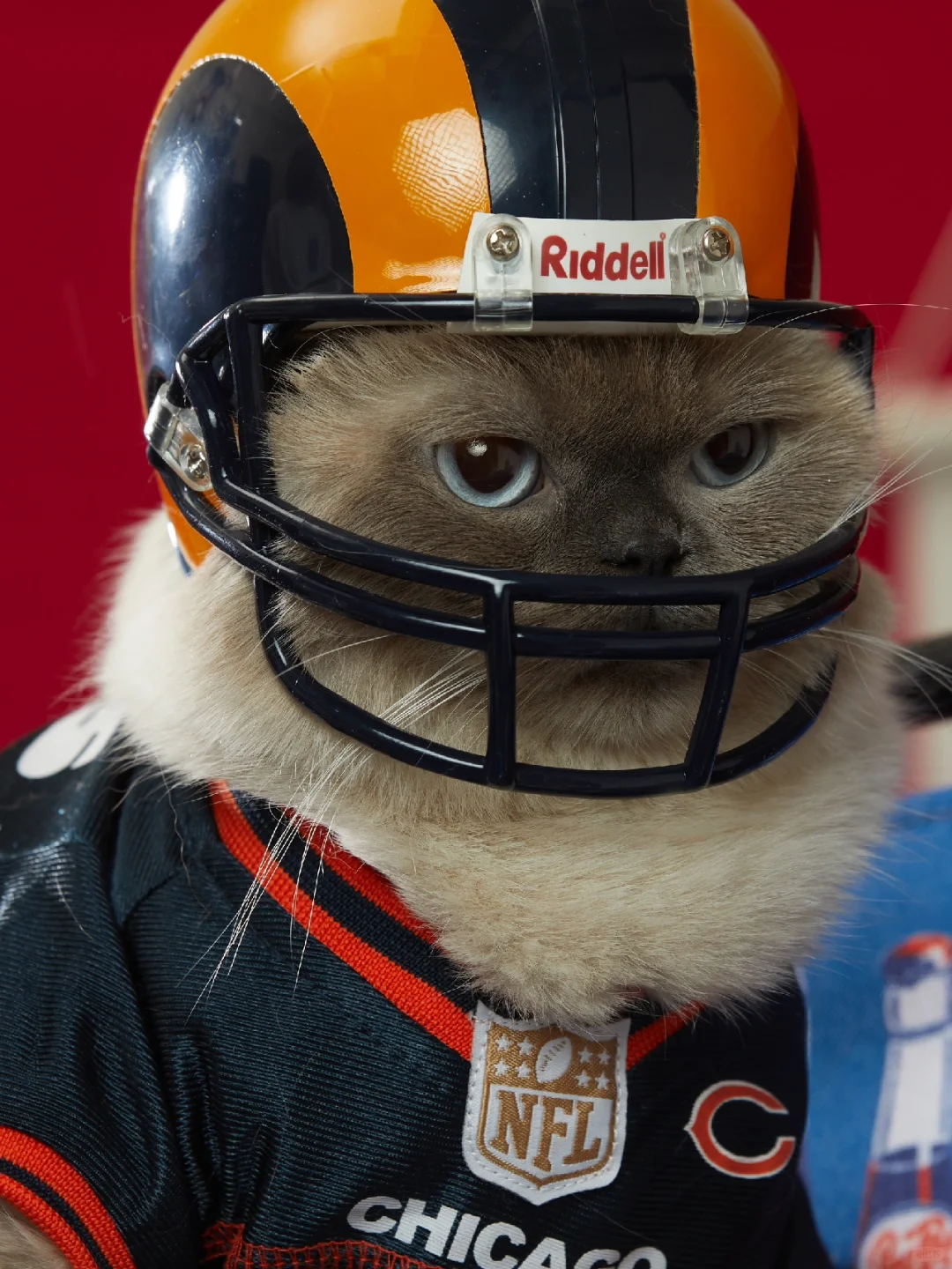 他好像知道自己很帅