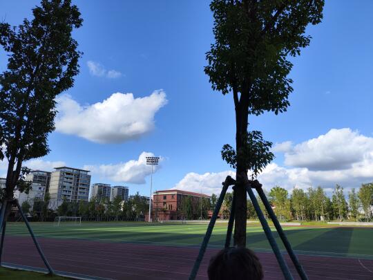 风景真美