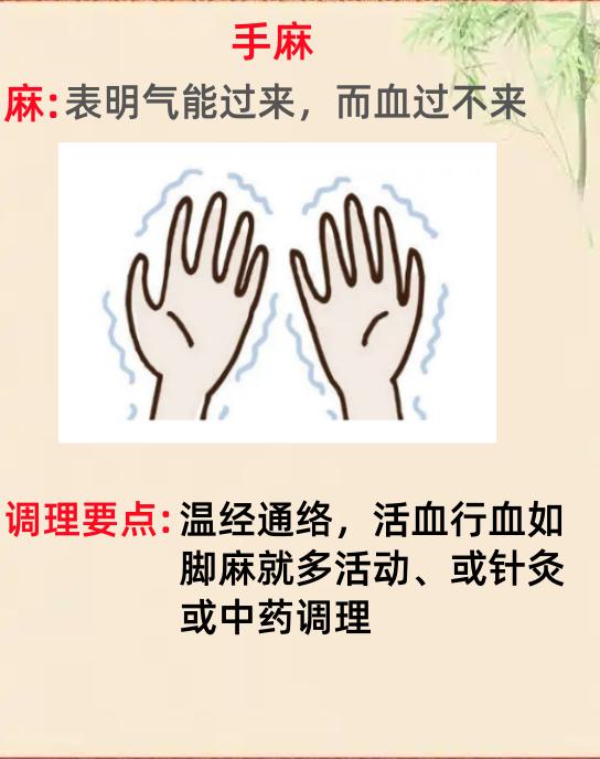 中医小知识，麻木酸胀疼，是身体的预警
手麻:表明气能过来，而血过不来。
手木:麻