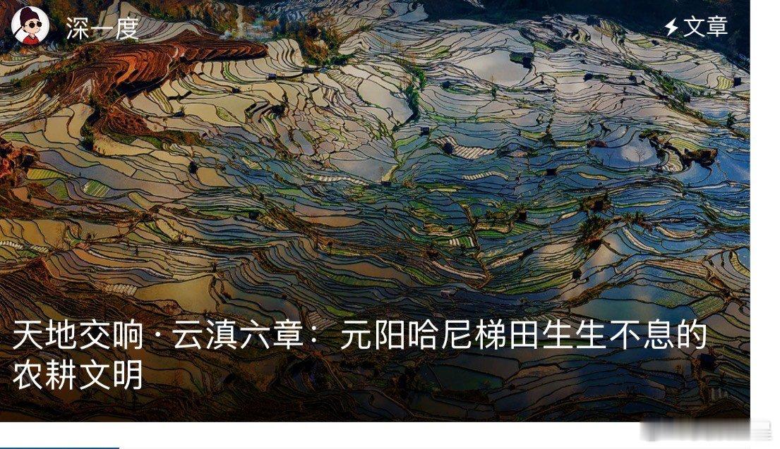 镶嵌在云南的大地指纹 能够看到了这么多漂亮又美丽的云阳梯田，真的是太惊艳无比了。