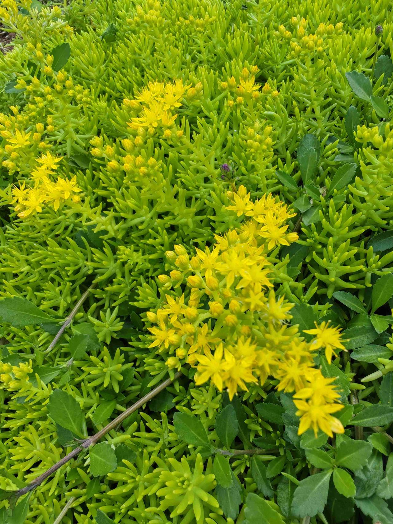 一到休息就下雨，老天奶，要不要这样啊？是对我有何不满吗？我不配出去户外走一走？