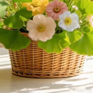 生活手记不必追赶落日，晚风自有温柔，生活从无完美，接纳遗憾，学会与自己和解，便是