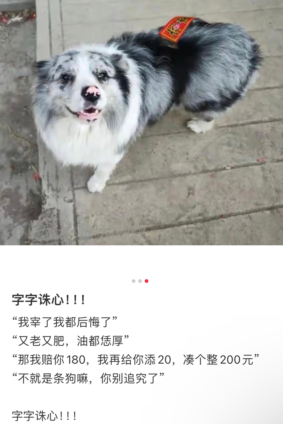 我知道立动物保护法遥遥无期，那偷狗能不能以侵犯他人财产量刑。如果狗没有狗权只能算