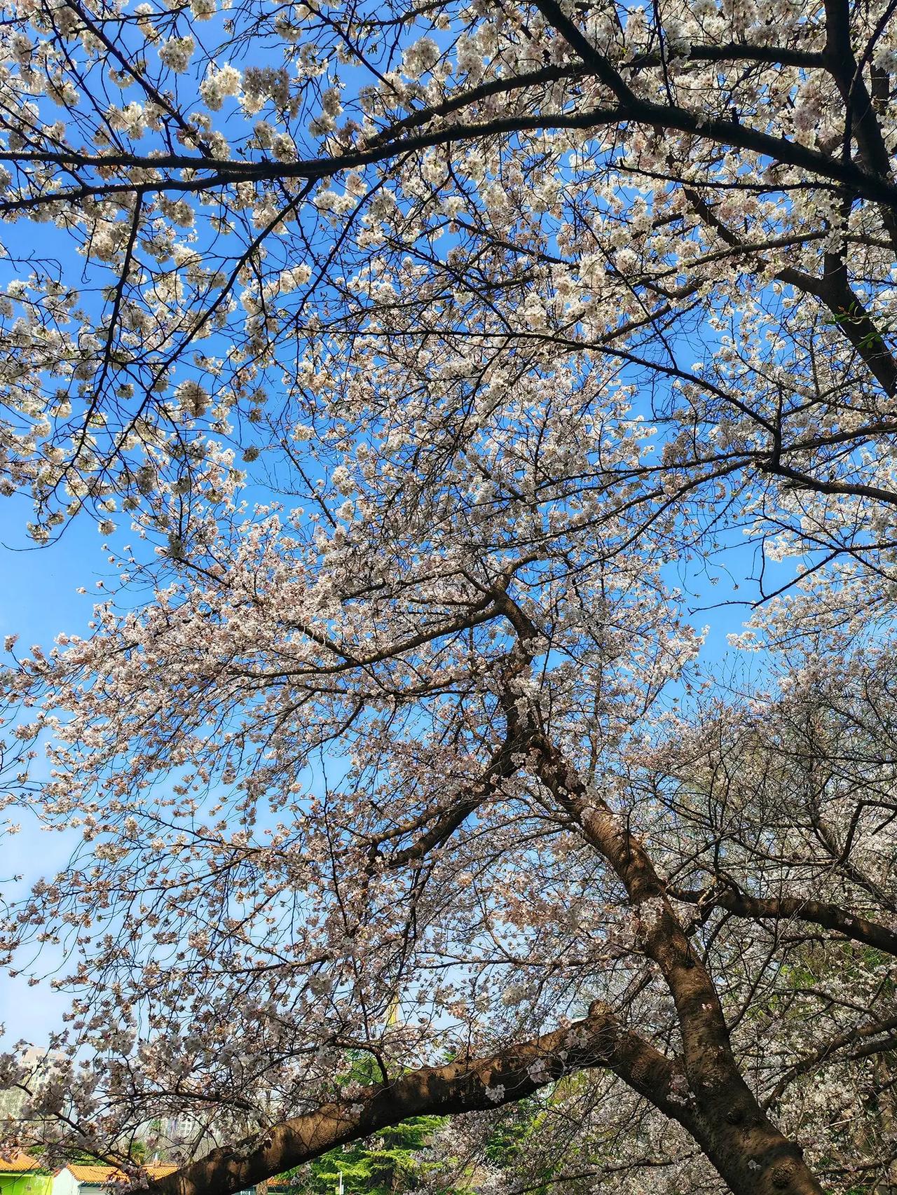高兴的事不要和别人说因为别人会不高兴不高兴的事也不要说因为别人会很高兴人性的阴暗