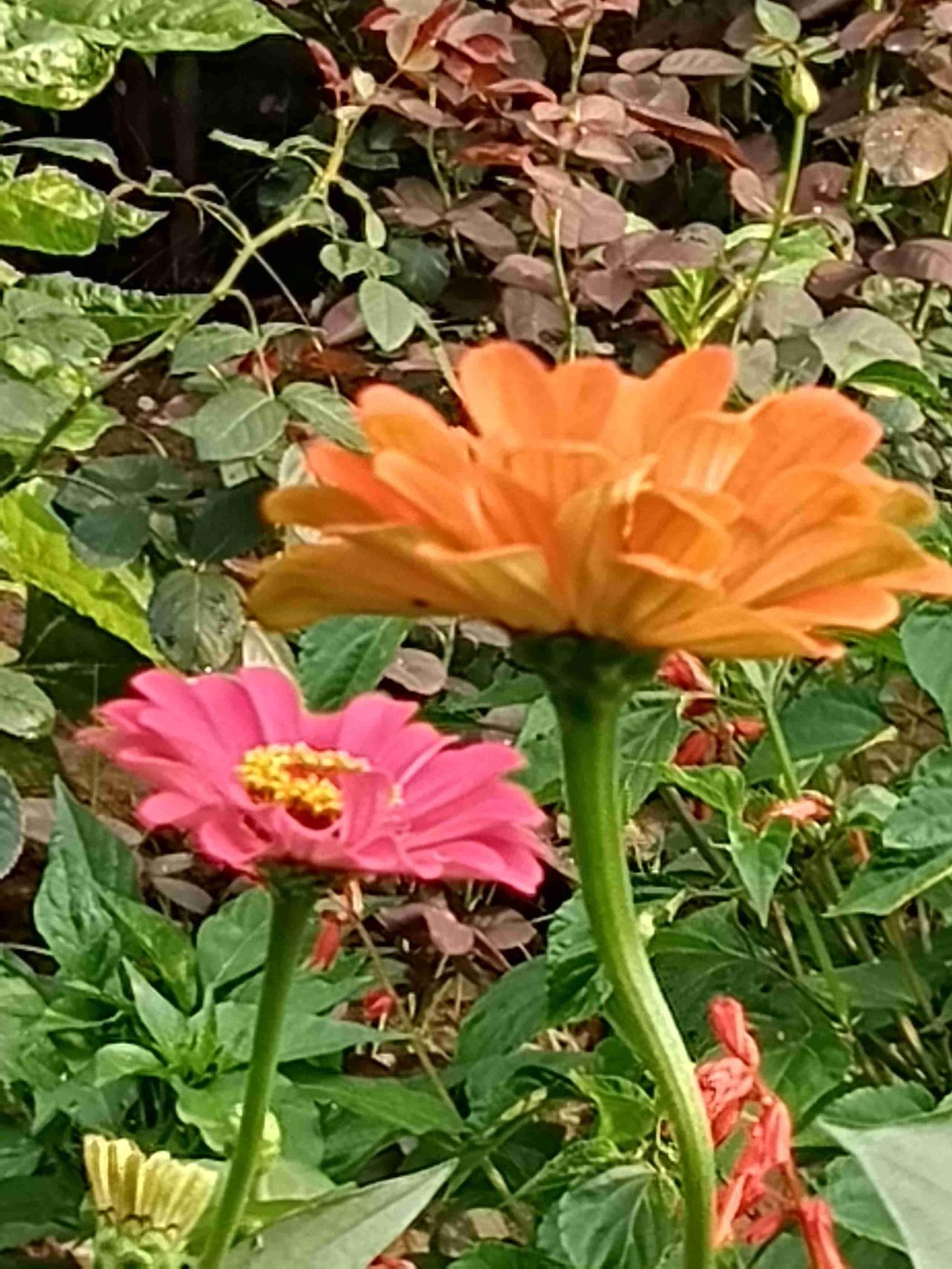 我的今日状态：💰期待暴富
我这里的天气：☀️晴天