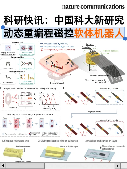 中国科大新研究：动态重编程磁控软体机器人