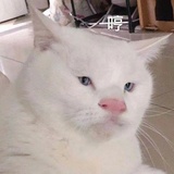 望春爱聚娱乐