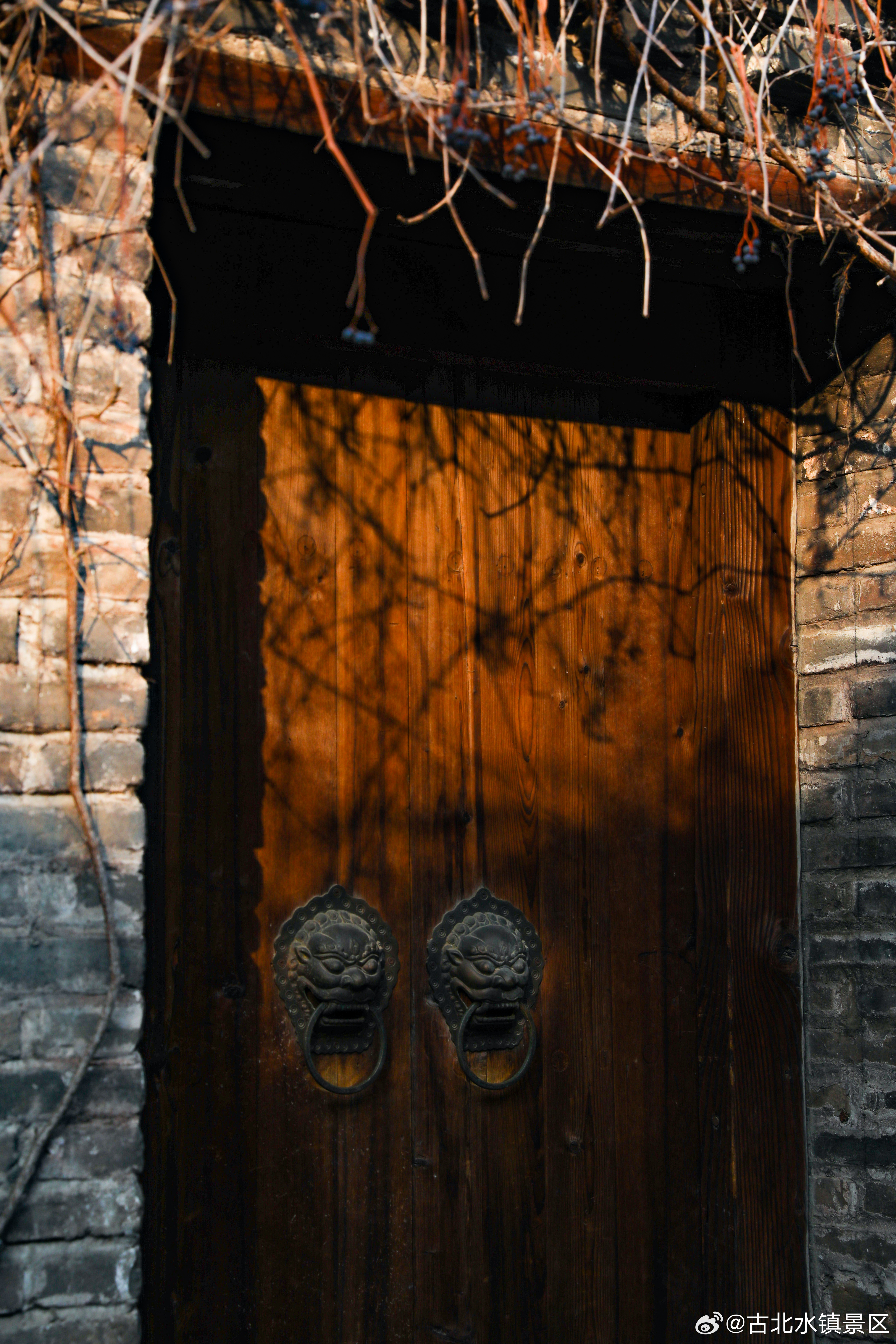 生活的小确幸，藏在每一个早起的清晨☀️ 喝杯热饮，看会儿晨光，日子就很美好。早安