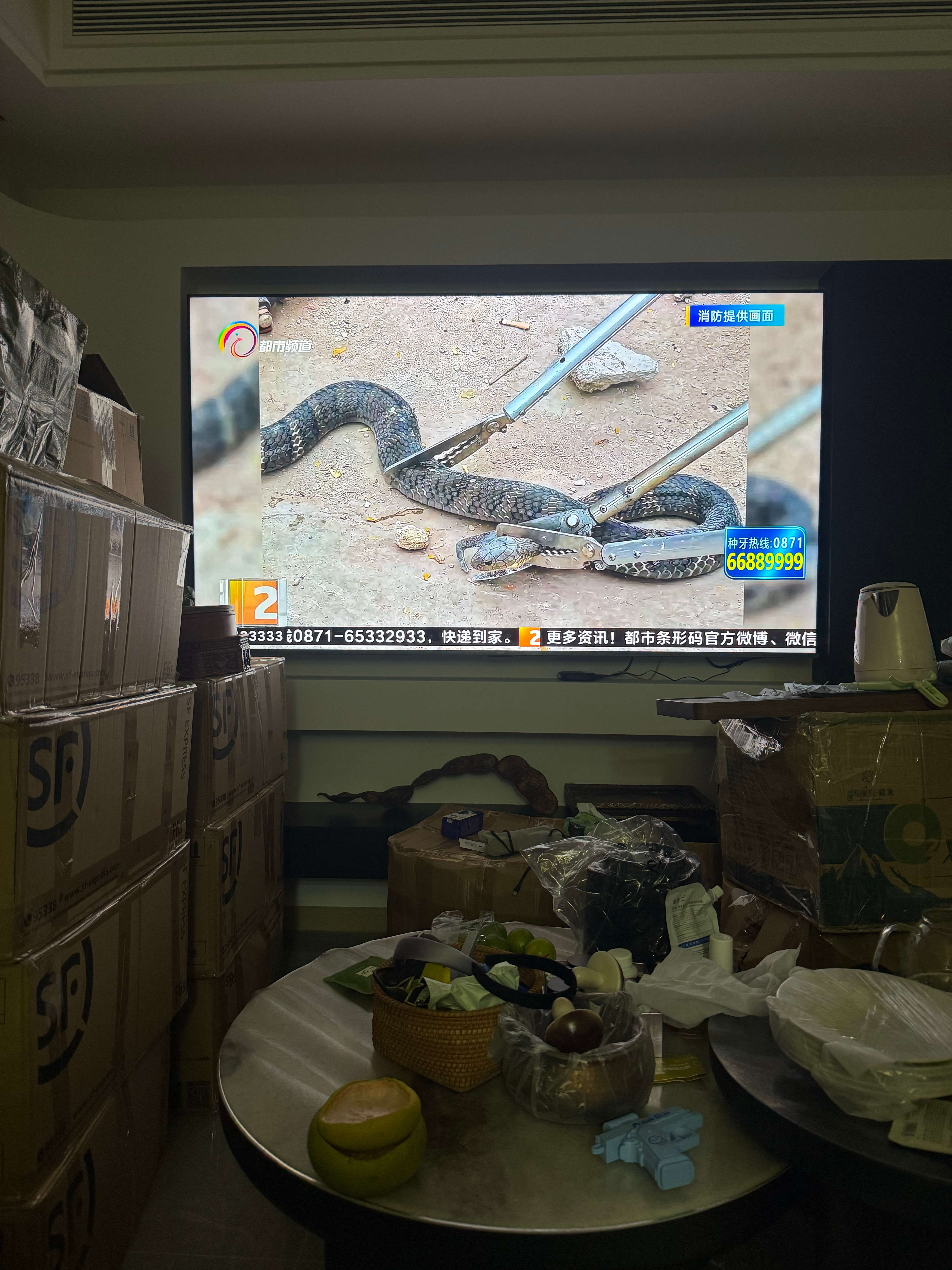 好多年没看都市条形码了，云南的新闻还是这么丰富  ​​​