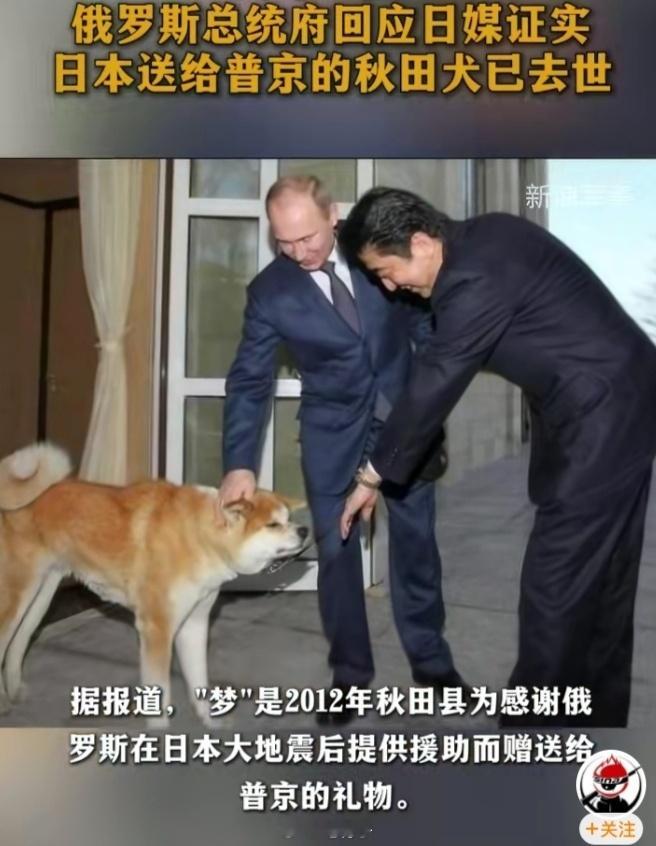 日本送给普京的秋田犬去世俄日的“和平梦”终于寿终正寝了据日媒5月14日爆料，普京